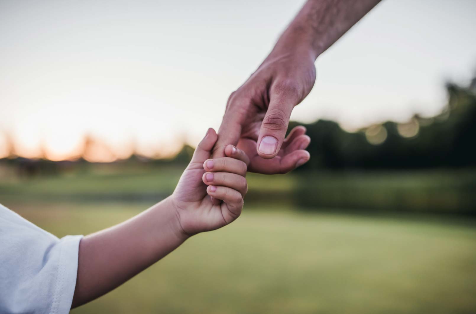 Adult hand gently holding a child's hand outdoors in a green field at sunset.